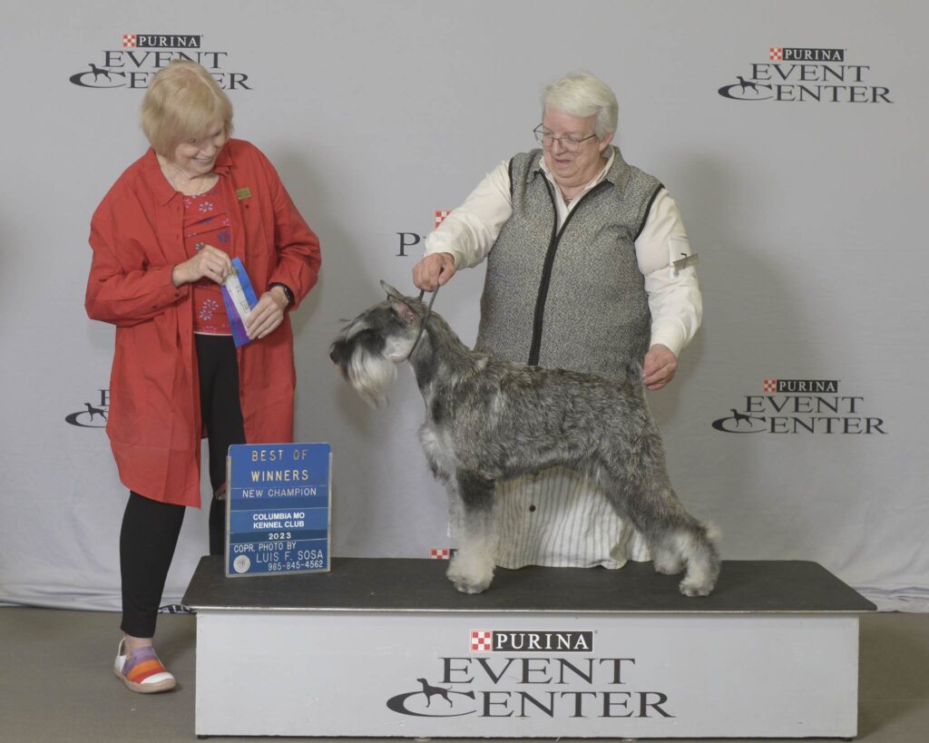 On 04/02/2023, Walter was Best of Winners to earn the final points he needed to add Champion to his name.